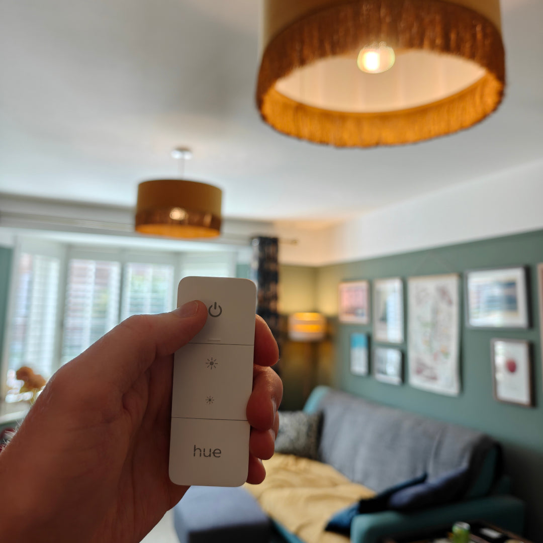 Smart Home Lighting Setup & Support Services