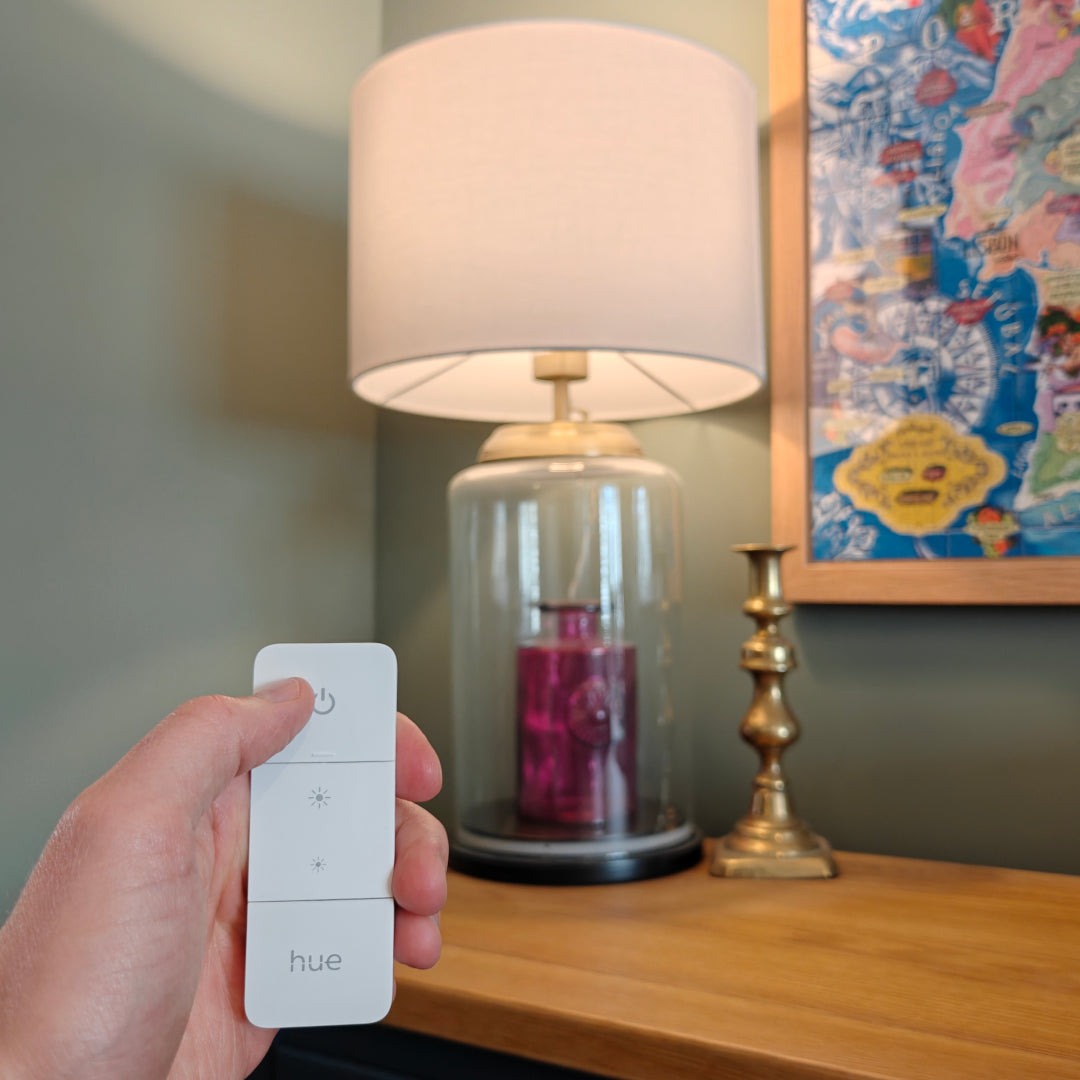 Smart Home Lighting Setup & Support Services