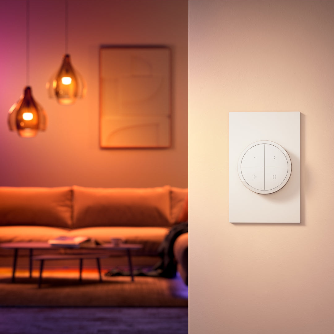 Smart Home Lighting Setup & Support Services