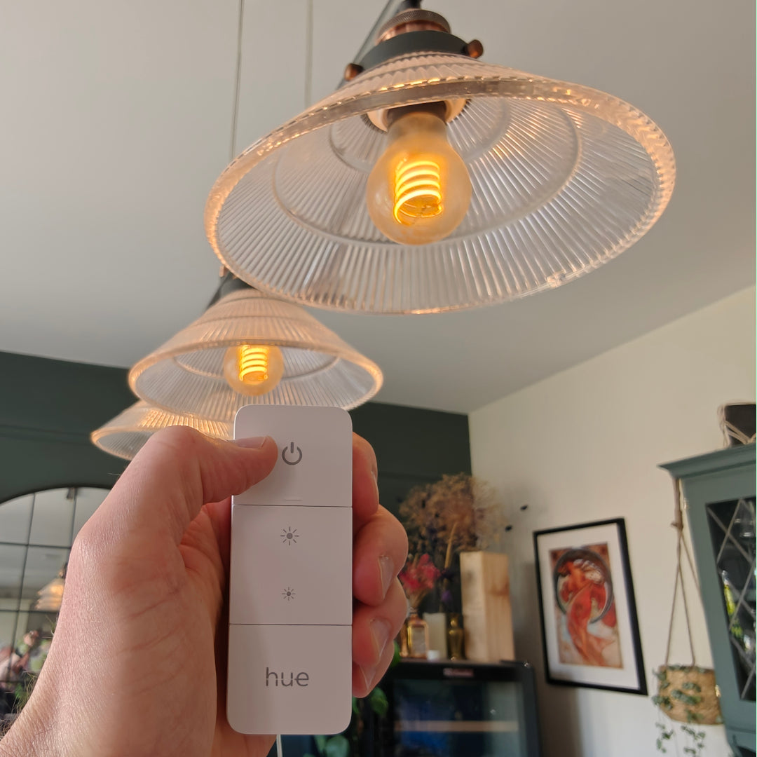 Smart Home Lighting Setup & Support Services