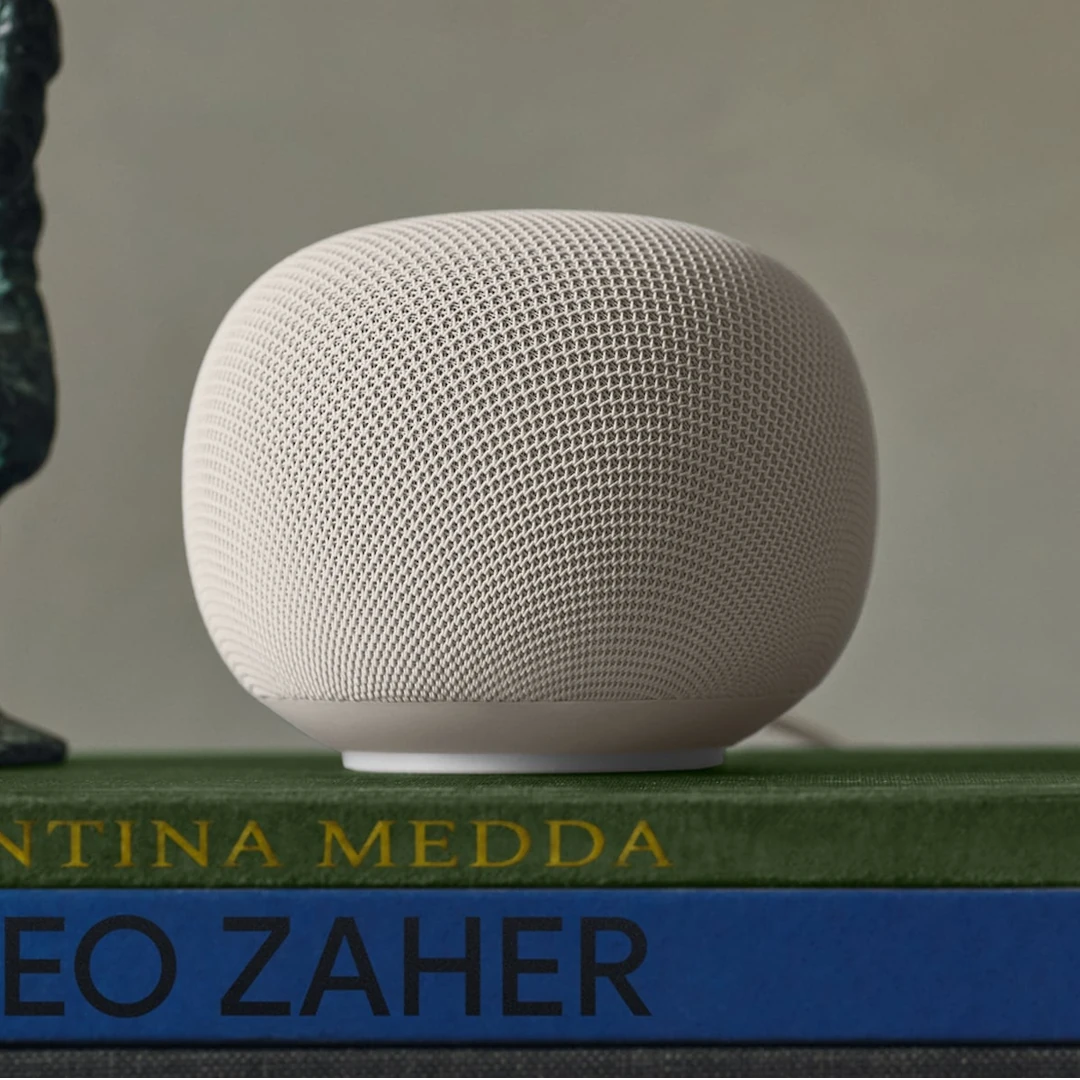 Google Nest Smart Speaker Setup Service