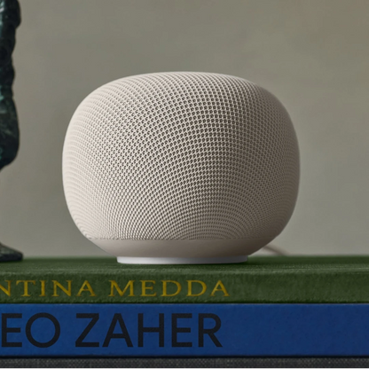 Google Nest Smart Speaker Setup Service