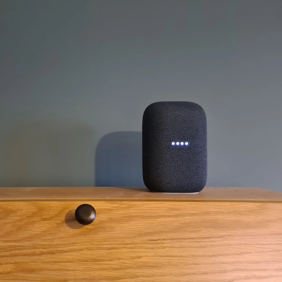 Google Nest Smart Speaker Setup Service