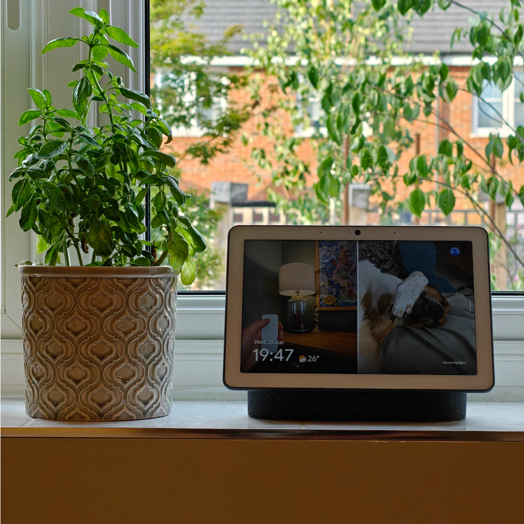 Google Nest Smart Speaker Setup Service